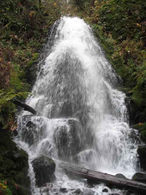 11.11.06 Waukeena Multnomah Falls 028 